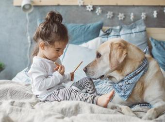 Baby Training Your Dog: What, When, Why?