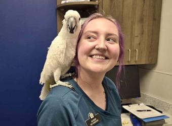 How We Gently Handle Your Parrot at Gentle Vet