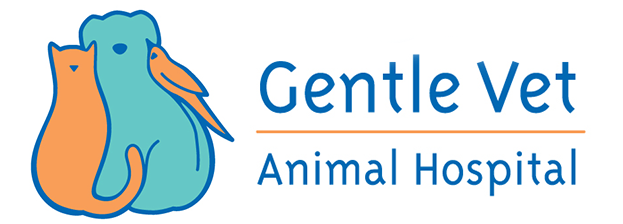 Gentle Vet Animal Hospital
